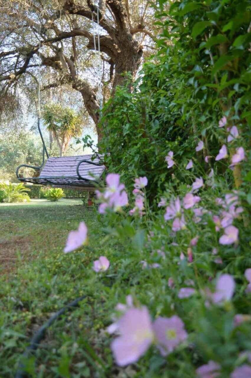 Sunny Garden Apartment Plataria Bagian luar foto