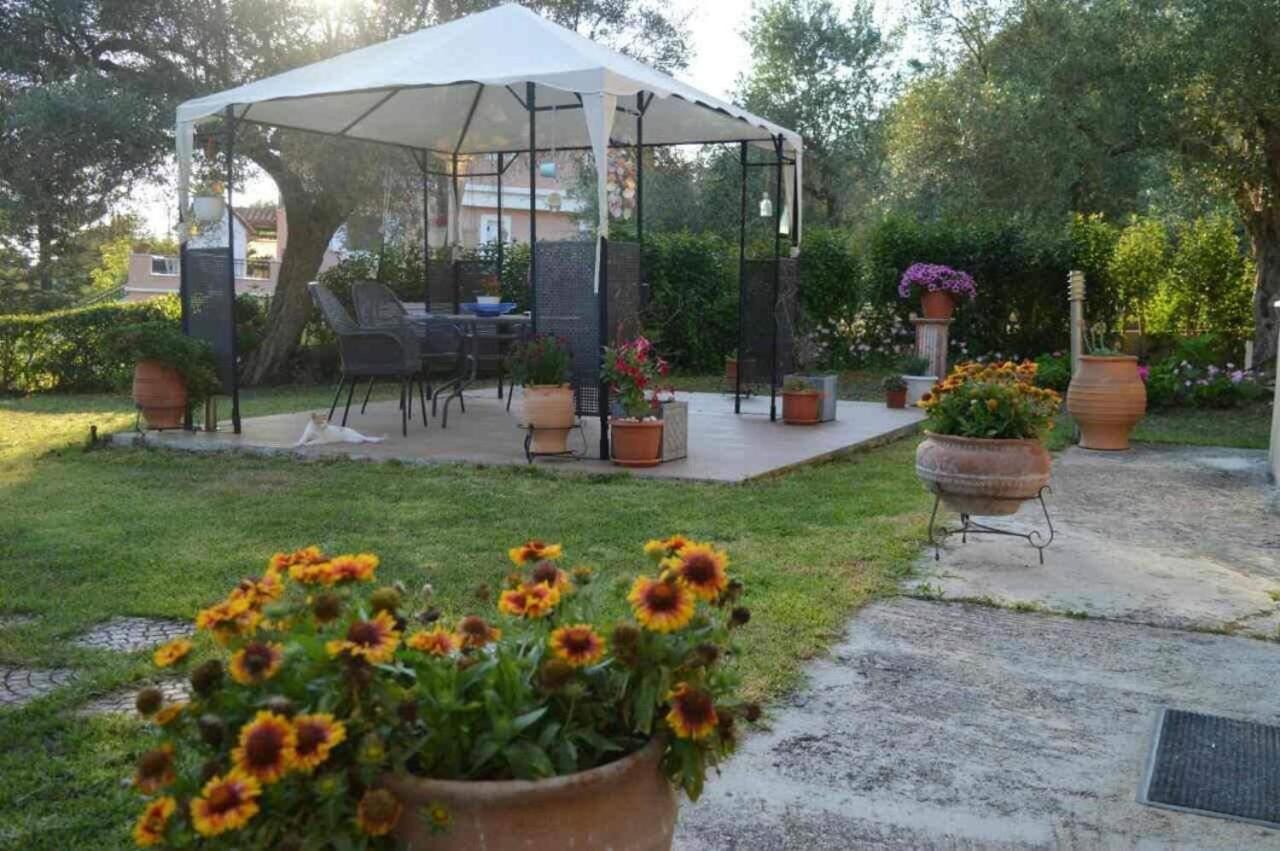 Sunny Garden Apartment Plataria Bagian luar foto