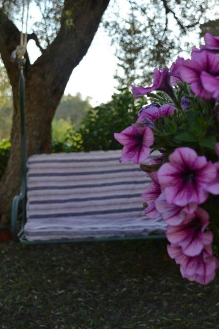 Sunny Garden Apartment Plataria Bagian luar foto